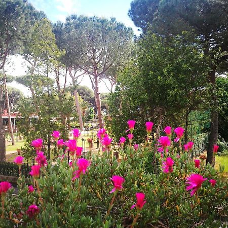 Casa Margherita Affittacamere B&B Follonica Exterior photo