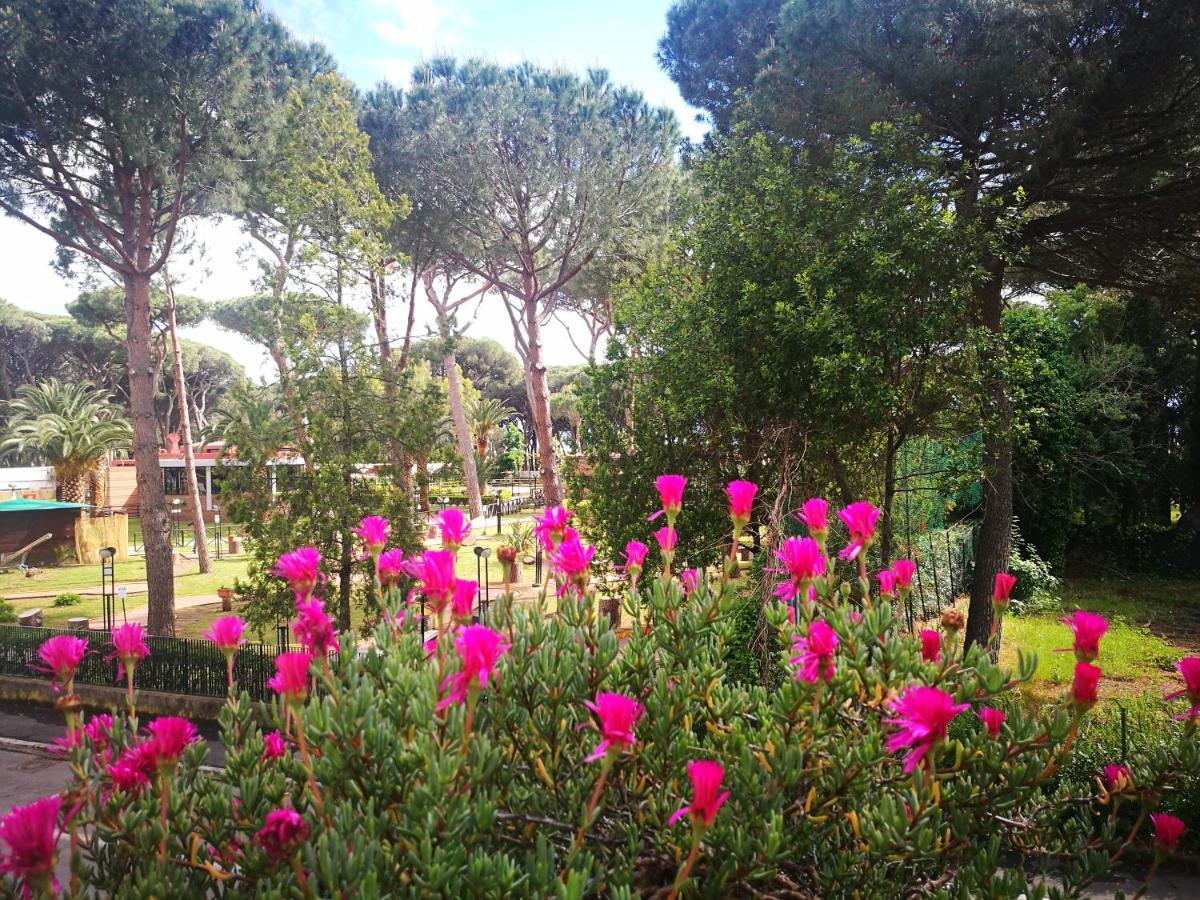 Casa Margherita Affittacamere B&B Follonica Exterior photo